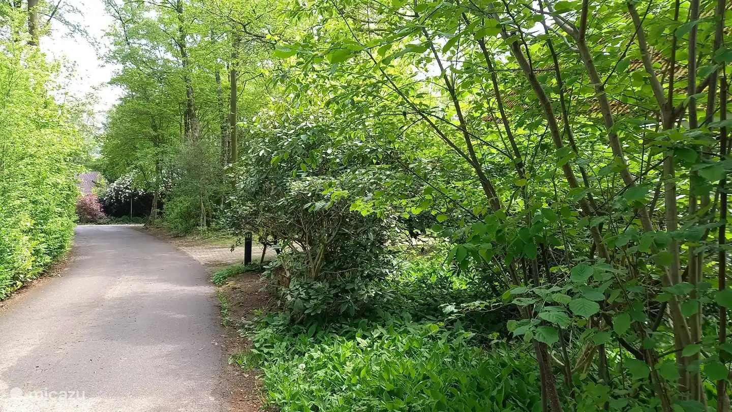 De rondweg van het park