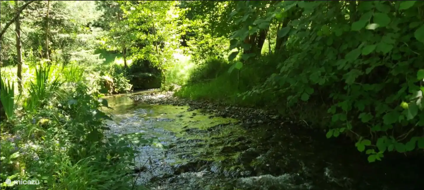 Garten und unser Fluss, Ruisseau de Moncaup