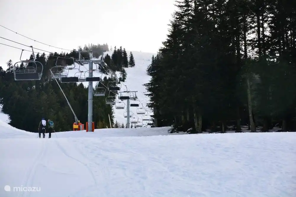 Skistation Du Moutis