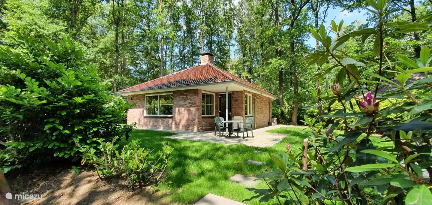 Die Kohlmeise in Niederlande, Overijssel, Ootmarsum - bungalow