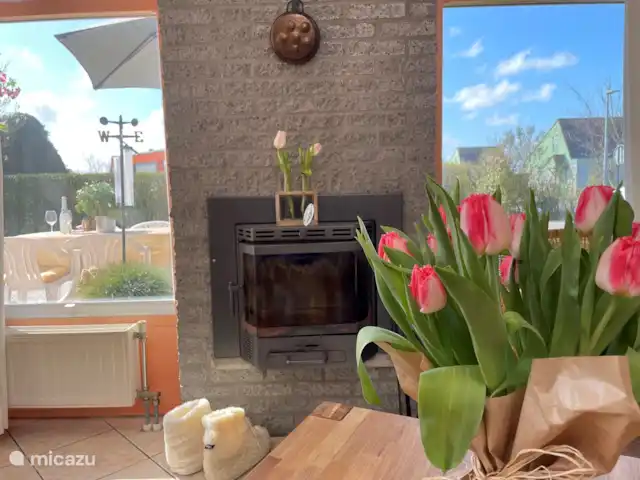 Location de Vacances Pays-Bas, Hollande du Nord, Julianadorp aan Zee, bungalow - Étoile de mer 244