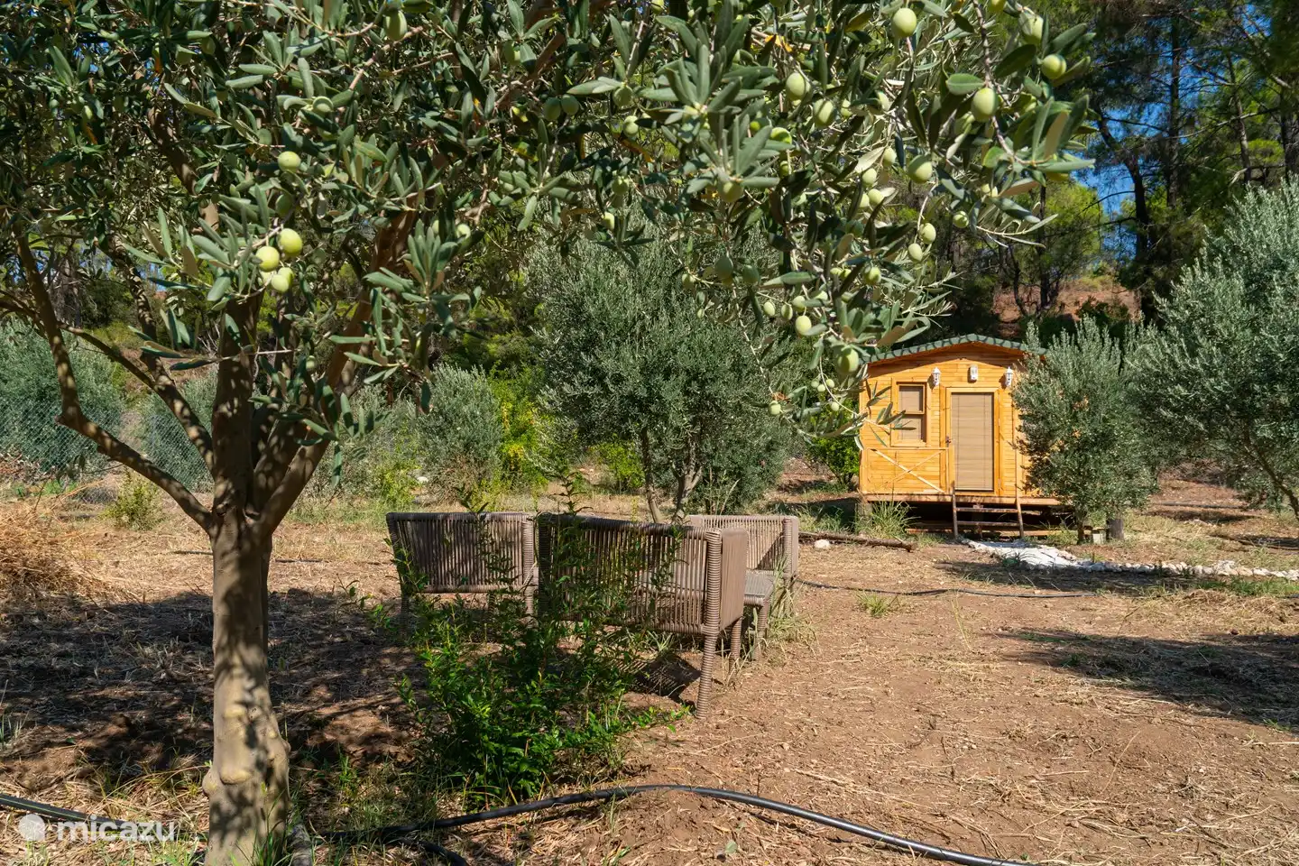 Tiny house in Türkei, Türkischen Riviera, Antalya - Tiny House