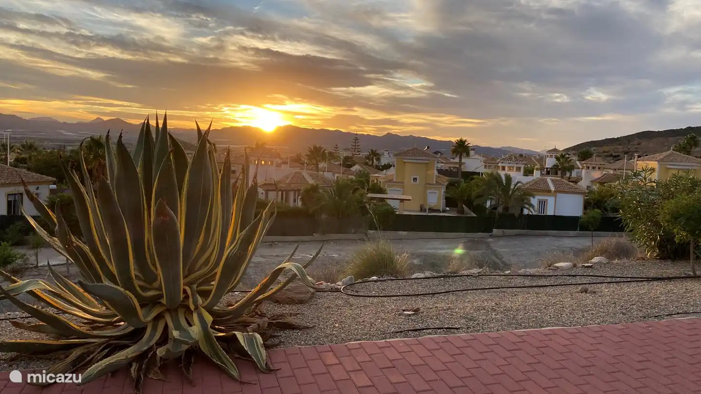 Blick von der Terrasse.