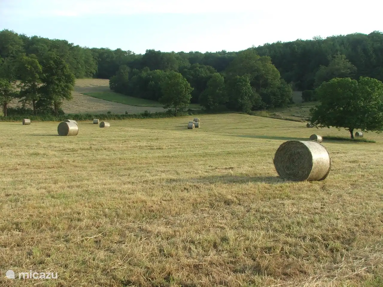 Uitzicht op de omringende weilanden