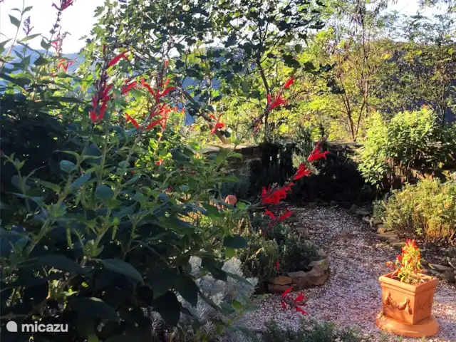 Location de Vacances Italie, Émilie-Romagne, Sarsina, appartement - Azalée Cabraldi Jardin d'herbes aromatiques