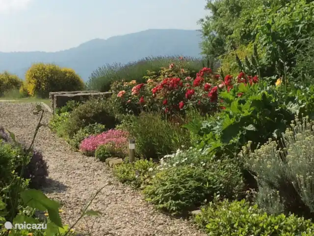 Location de Vacances Italie, Émilie-Romagne, Sarsina, appartement - Azalée Cabraldi Appartement de jardin Azalée