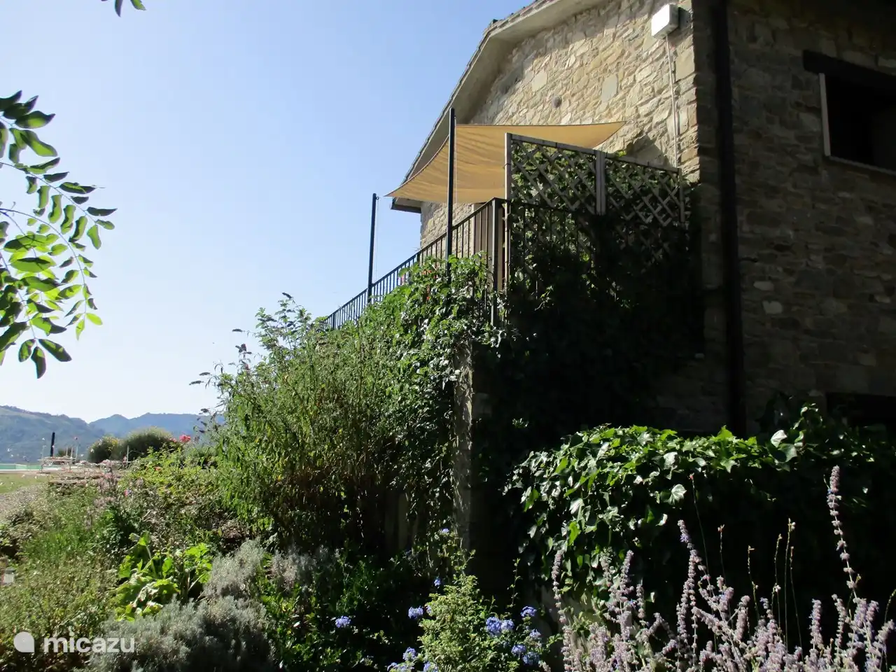 Terras van appartement Azalea