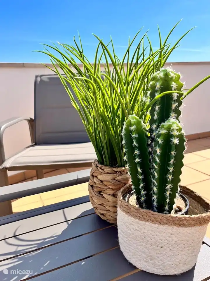 ¡siempre un clima maravilloso! Vista Mar - Apartamentos Fuseta