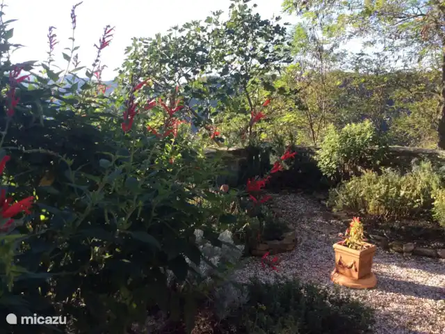 Location de Vacances Italie, Émilie-Romagne, Sarsina, appartement - Camélia de Cabraldi Jardin d'herbes Cabraldi