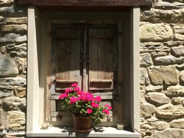 Location de Vacances Italie, Émilie-Romagne, Sarsina, appartement - Camélia de Cabraldi Ornement de camélia