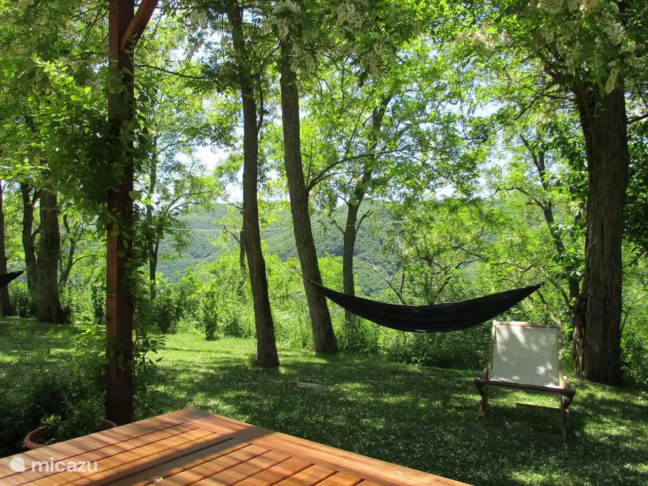 Kamelienblick von der Terrasse