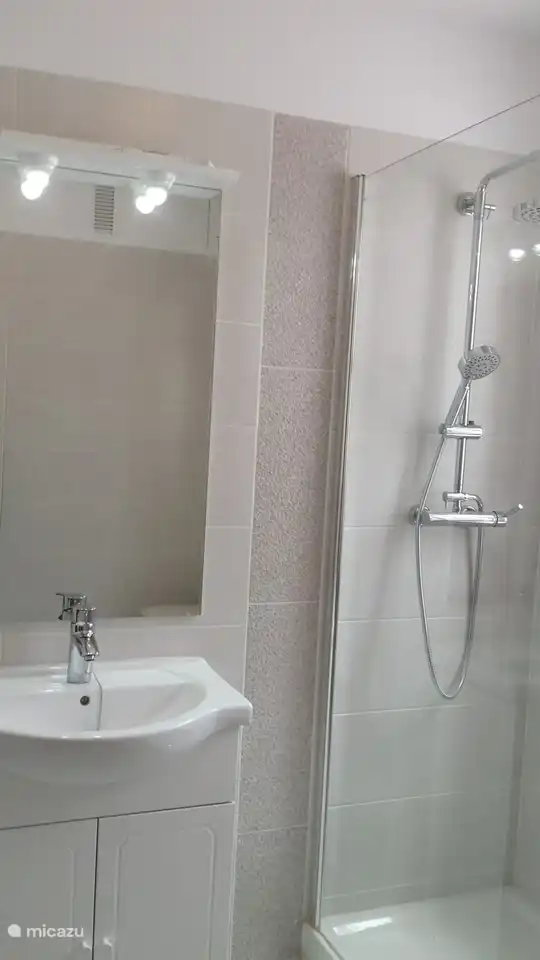 cuarto de baño grande con ventana a la terraza, ducha, aseo y armario