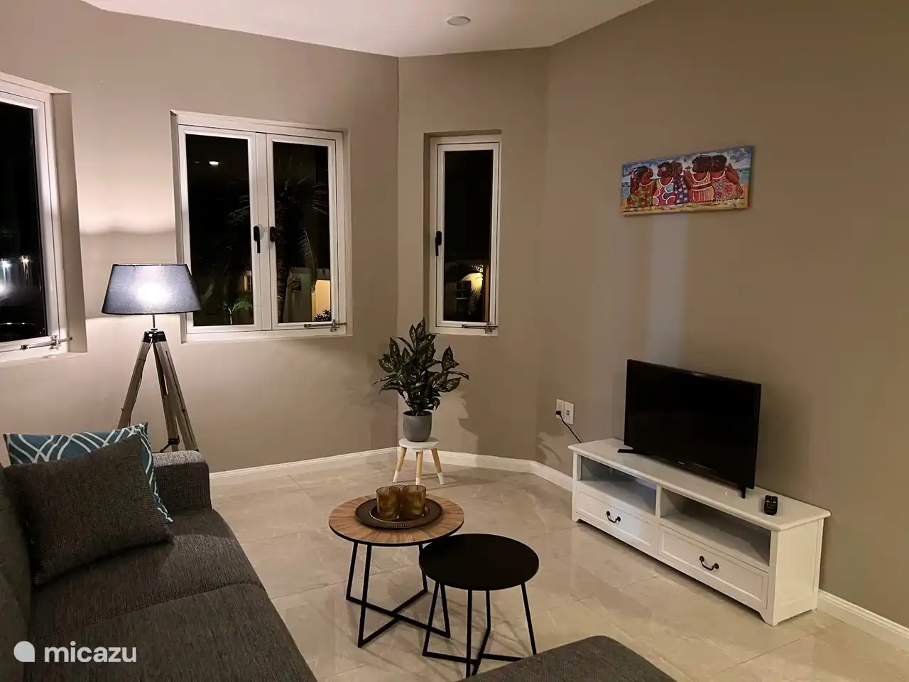 Salon avec télévision