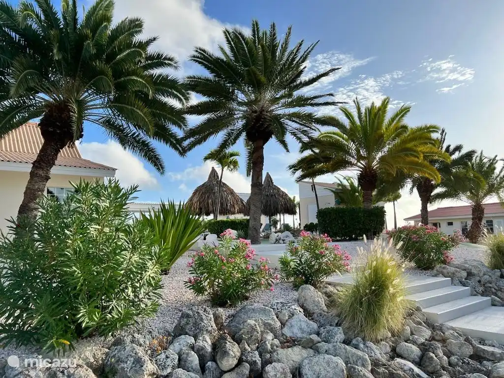 Jardin tropical du complexe