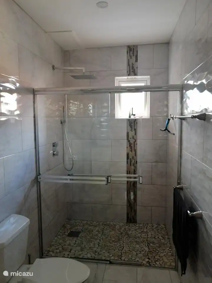 Spacieuse salle de bain attenante avec douche à effet pluie