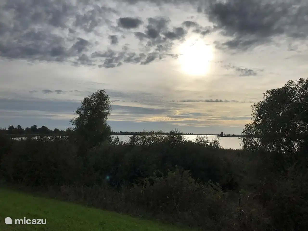 Naturschutzgebiet De Oostvaardersplassen bei Harderwijk; Die Oostvaardersplassen sind ein etwa 5600 ha großes Naturschutzgebiet zwischen Almere und Lelystad in der niederländischen Provinz Flevoland. Hier finden Sie große Weidetiere: Heckrinder, Konik-Pferde und Rothirsche.