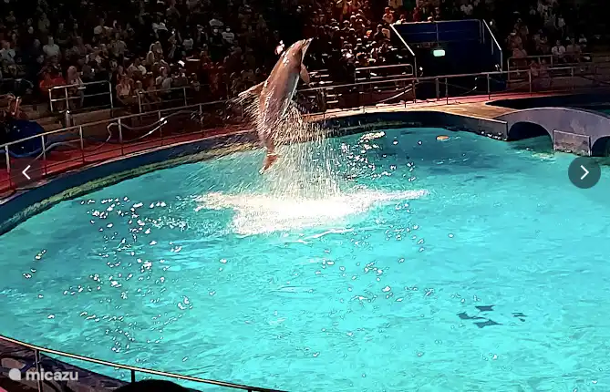 Delphinarium in Harderwijk