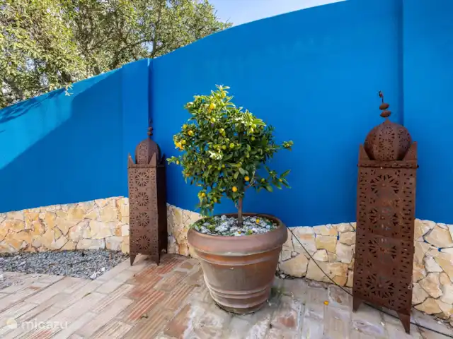 Villa Élise | Portugal, Algarve, Carvoeiro - villa