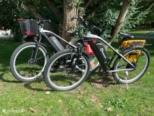 For rent from us: two electric bicycles