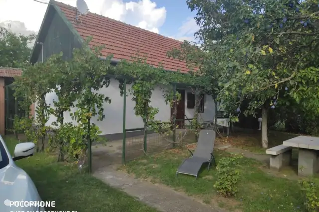 Sopron huren sex in