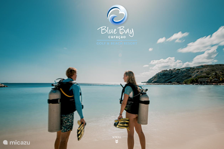 Blue Bay Dive