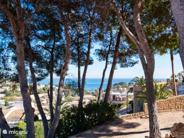 appartement huren in Spanje, Costa Blanca, Benissa – Casa Eucalyptus Schaduwrijke plaatsjes met zicht op zee op het domein