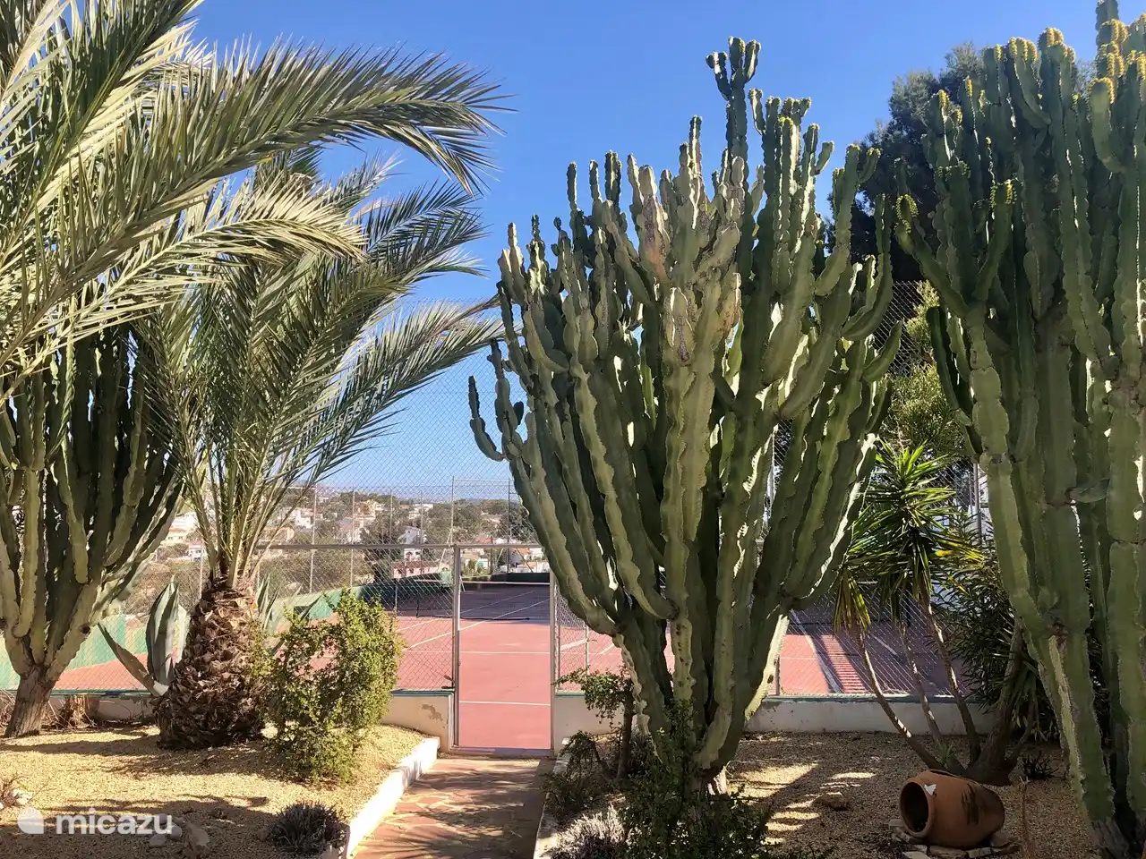 Vorgarten-Tennisplatz, schöne südliche Pflanzen