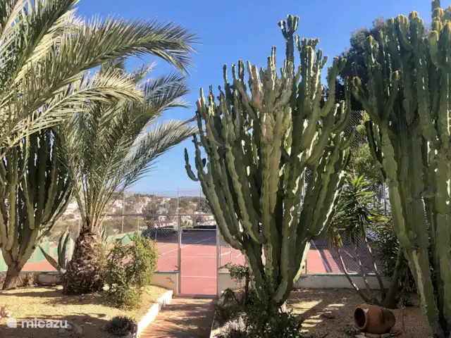 appartement huren in Spanje, Costa Blanca, Benissa – Casa Eucalyptus Voortuin tennisveld, prachtige zuiderse planten