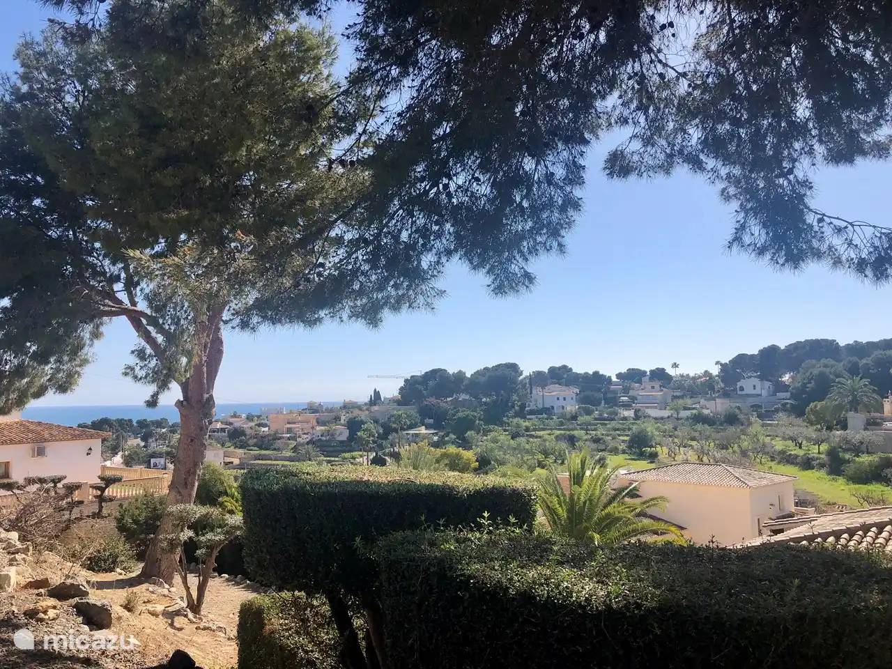 Blick aus dem Garten