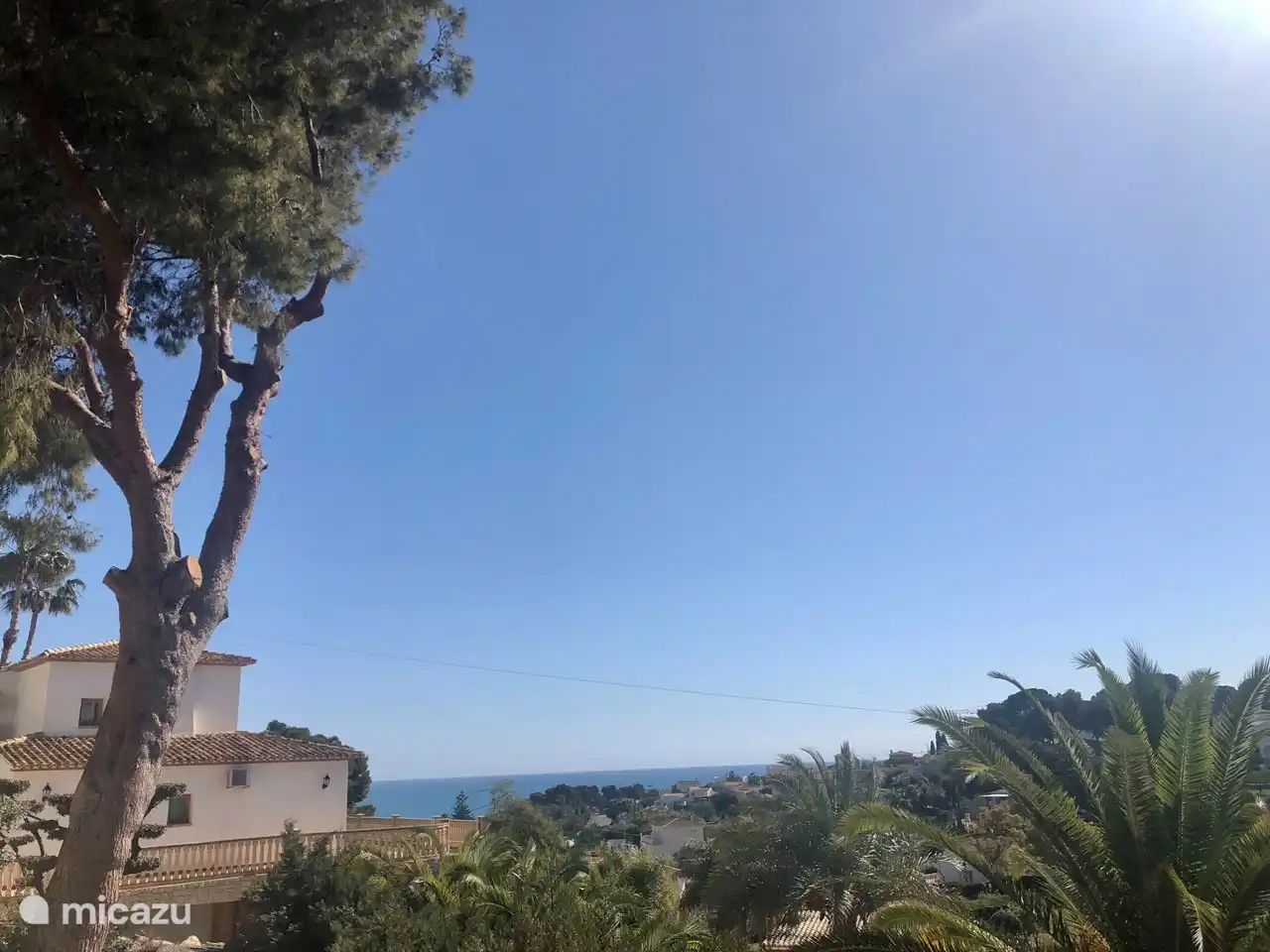 Blick aus dem Garten