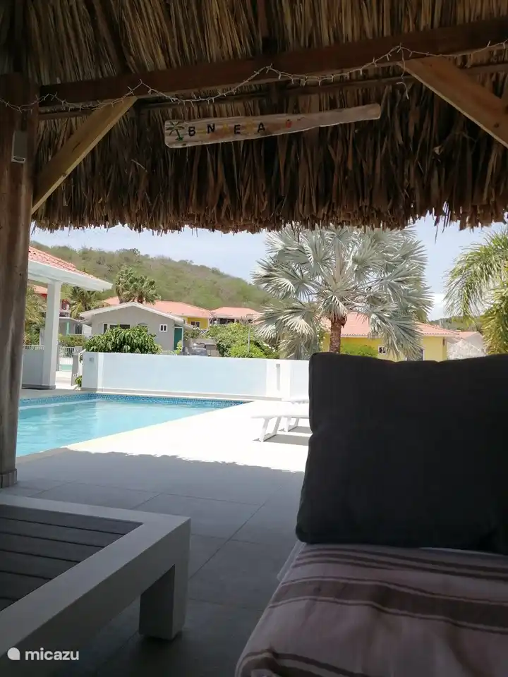 Blick unter die Palapa