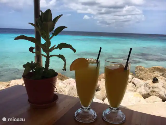 Villa Bunita Bista en Curazao, Bandabou (oeste), Fontein - villa Sabroso cóctel en Karakter (Coral Estate)