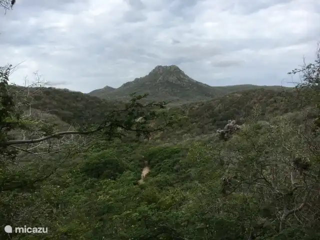 Villa Bunita Bista en Curazao, Bandabou (oeste), Fontein - villa Paseo por el Parque Christoffel