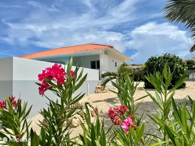 Villa Bunita Bista en Curazao, Bandabou (oeste), Fontein - villa Mucha privacidad debido a la altura, pantalla en la terraza y pronto plantas.