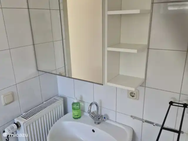 Huinerhofje 3; rust, privacy, natuur huren in Nederland, Gelderland, Putten - vakantiehuis