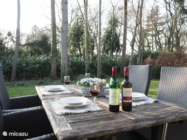 Huinerhofje 3; rust, privacy, natuur huren in Nederland, Gelderland, Putten - vakantiehuis