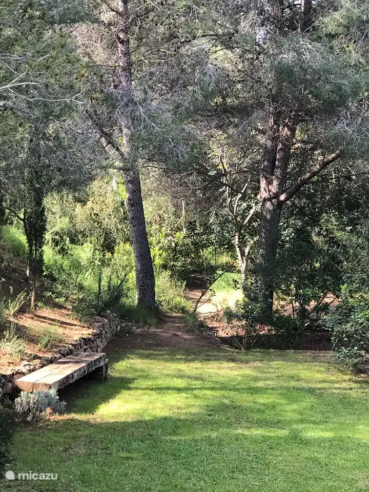 Villa Casa Blanca, terreno arbolado con césped