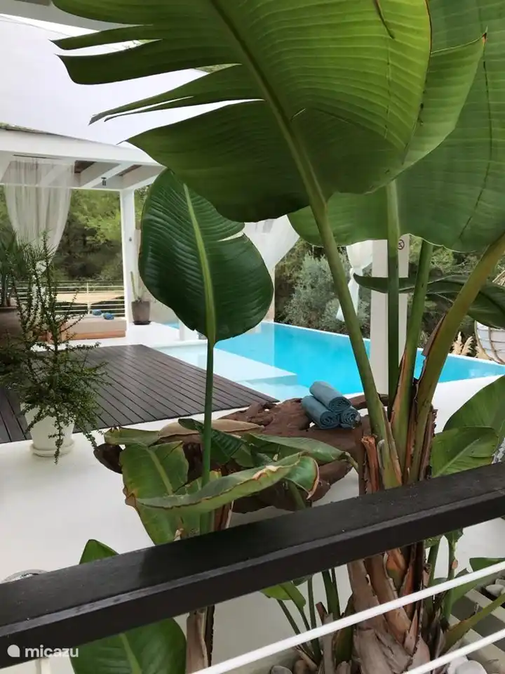 Villa Casa Blanca, piscina