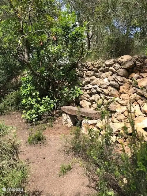 Villa Casa Blanca, banca lote arbolado