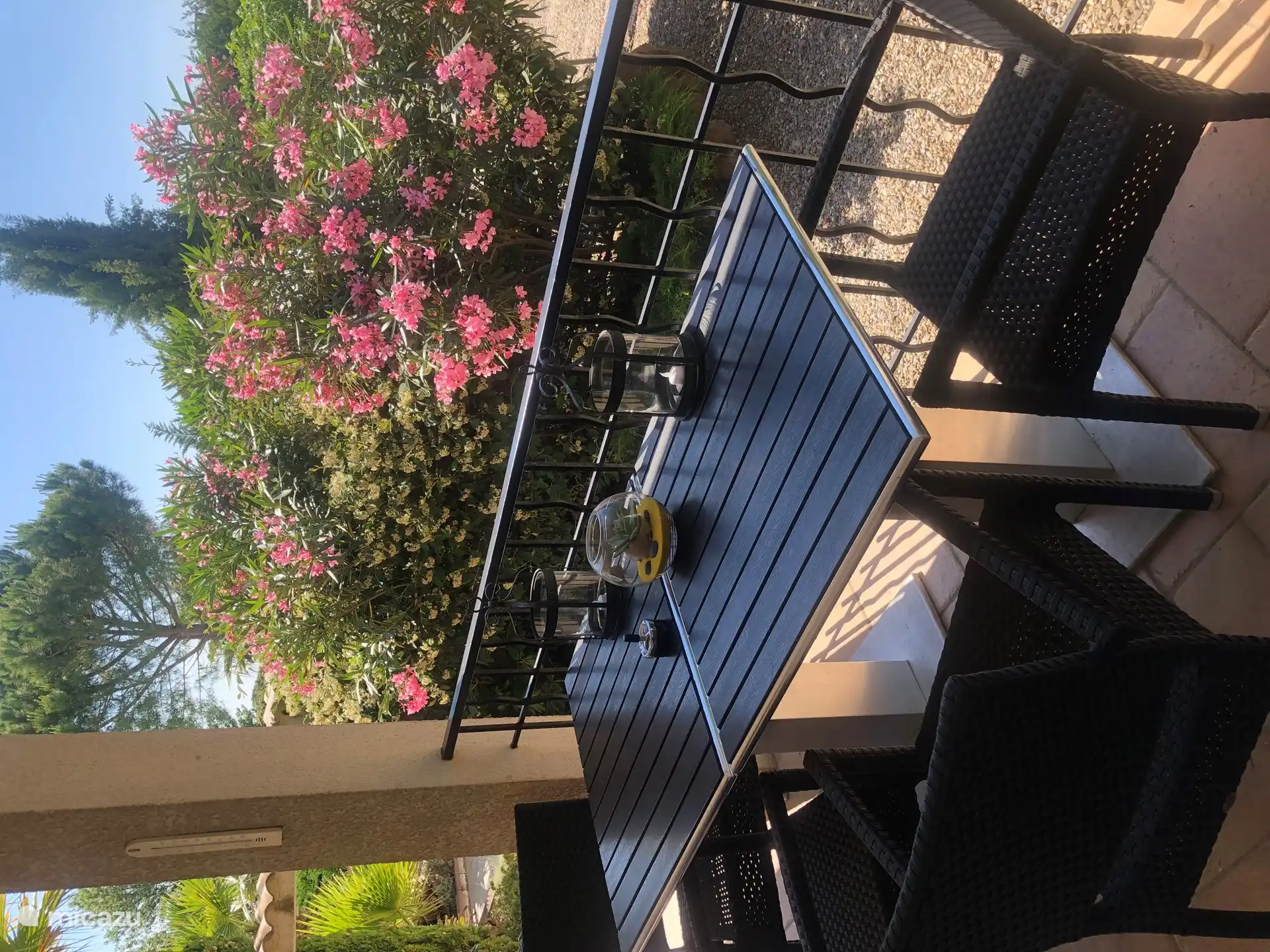 Mit Blick auf blühende Oleander 