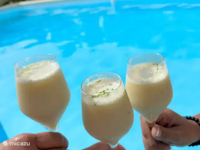 Location de Vacances France, Hérault, Oupia, maison de vacances - Marie Jean Chambre d'hotes & Gite Vacances! Bon cocktail dans votre propre piscine privée !