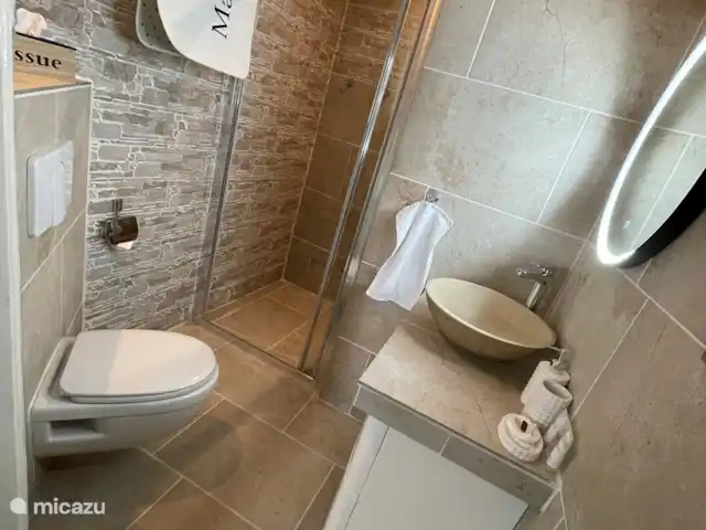 Location de Vacances France, Hérault, Oupia, maison de vacances - Marie Jean Chambre d'hotes & Gite Salle de bain de luxe en bas