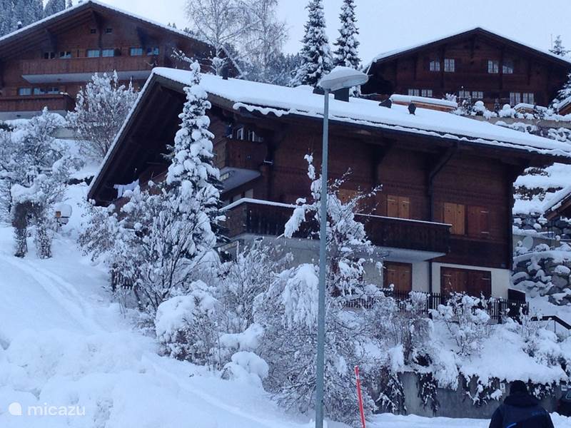 Holiday home in Switzerland, Bernese Oberland, Zweisimmen Apartment Multi winter sports