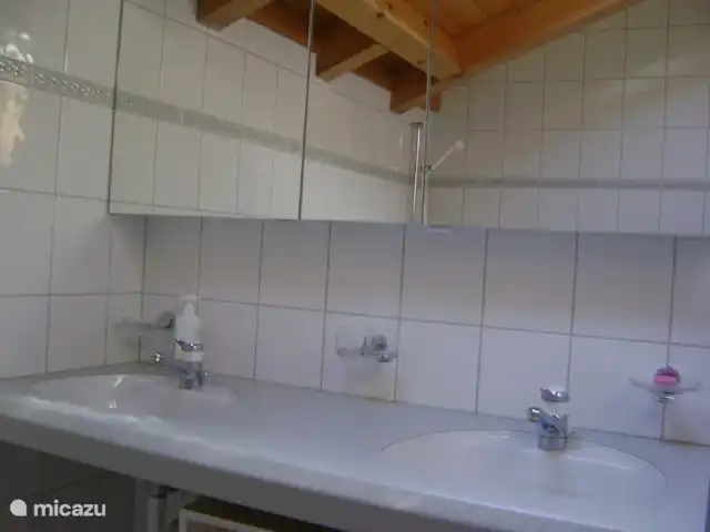 Location de Vacances Suisse, Oberland bernois, Zweisimmen, appartement - « Sports multi-hivernaux » Salle de bain avec douche et WC au rez-de-chaussée.