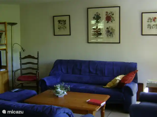 Location de Vacances Suisse, Oberland bernois, Zweisimmen, appartement - « Sports multi-hivernaux » Zone assise.