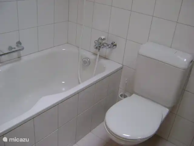 Location de Vacances Suisse, Oberland bernois, Zweisimmen, appartement - « Sports multi-hivernaux » Salle de bain avec baignoire, WC et lavabos. Premier étage.