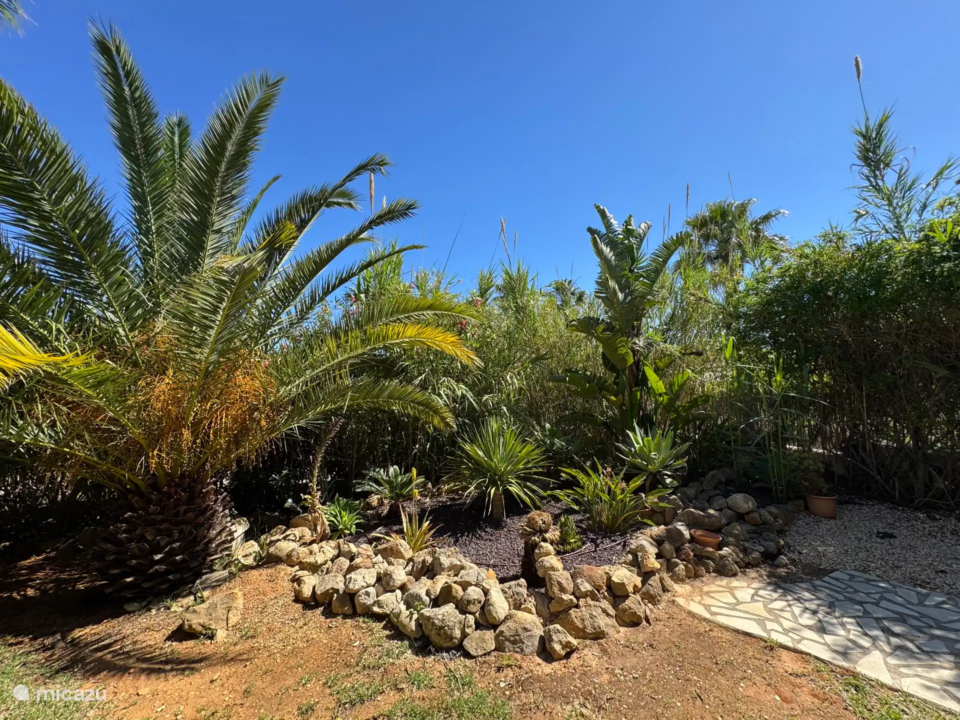 Tropische tuin 