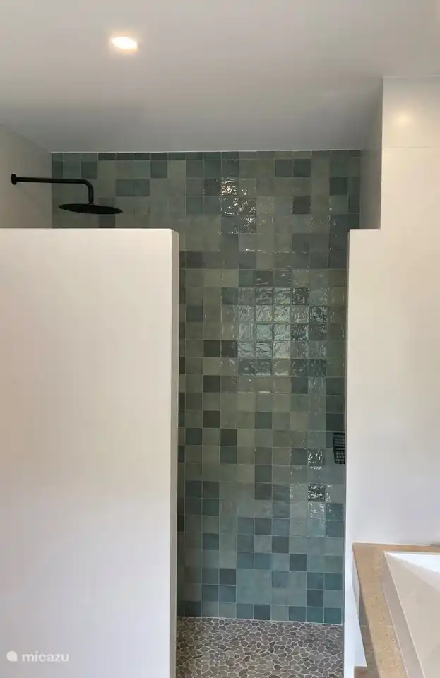 Shower master bathroom