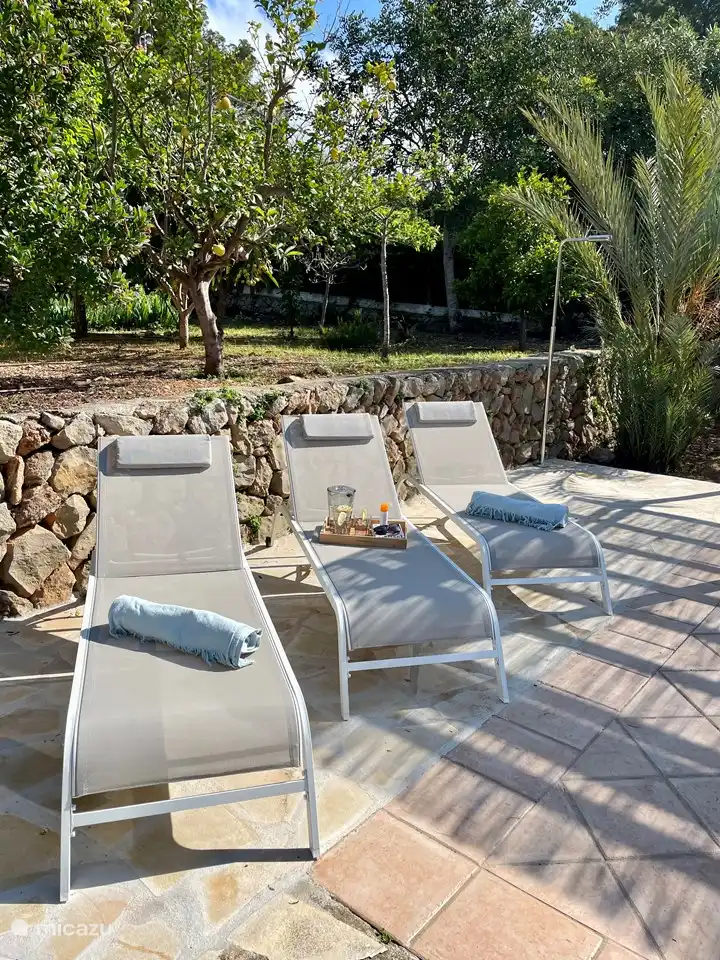 Sunbeds (total 6pcs)