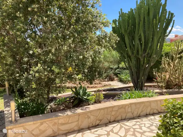 Villa Senang Jávea | Espagne, Costa Blanca, Jávea - villa Jardin tropical